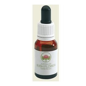 Bush Flower Essences Fiori Australiani Lichen Gocce 15 ml