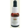 Bush Flower Essences Fiori Australiani Lichen Gocce 15 ml