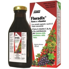 Salus Floradix Ferro 250 Ml