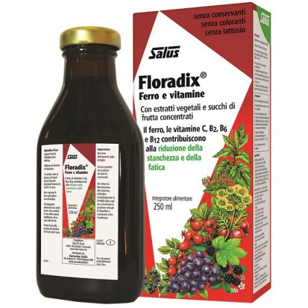 Salus Floradix Ferro 250 Ml
