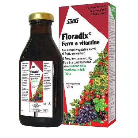 Floradix Integratore Ferro 500 ml