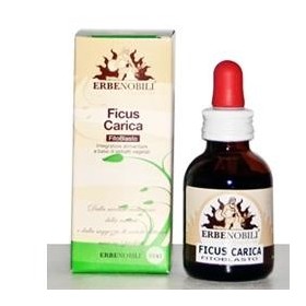 Erbenobili Ficus Carica Fitoblasto Gemmoderivato 50 ml