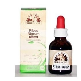 Erbenobili Ribes Nigrum Fitoblasto Gemmoderivato 50 ml