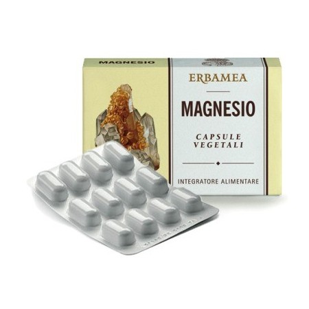 MAGNESIO 24CPS 1200MG