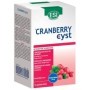 Esi Cranberry Cyst  Pocket Drink Integratore Benessere Vie Urinarie 16 Pocket Drink