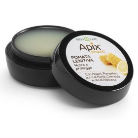 Apix Propoli Pomata Lenitiva Naso e Labbra 8 ml