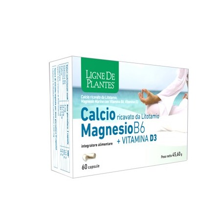 CALCIO+MAGNESIO B6+VITD3 60CPS