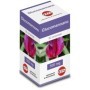 GLUCOMANNANO 90CPR 500MG