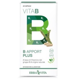 Erba Vita B Apport Plus Integratore Energetico 45 Capsule