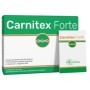 CARNITEX FORTE 14BUST