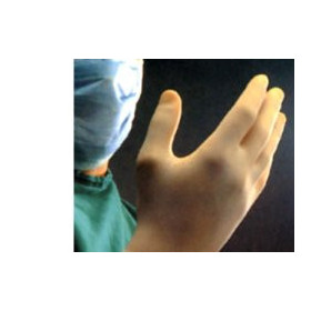 GUANTO CHIR LATT STER 8,5