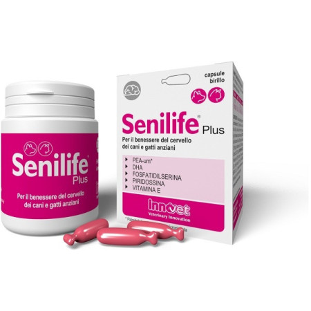 Senilife Plus Integratore per il Benessere del Cervello di Cani e Gatti Anziani 30 Capsule